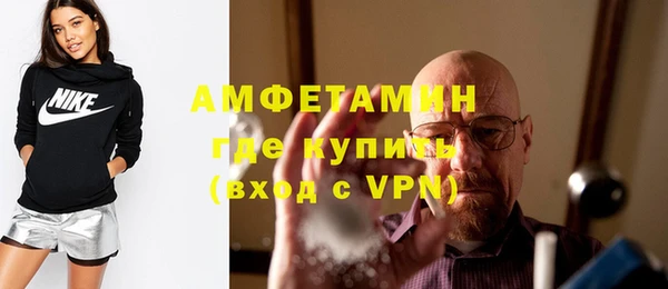 шишки Сатка