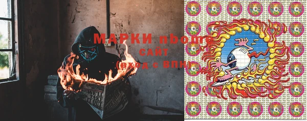 сатива Вязьма