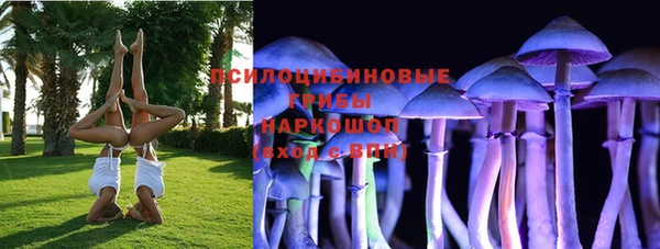 ПСИЛОЦИБИНОВЫЕ ГРИБЫ Володарск