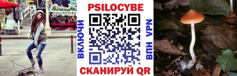 Купить где  Полярные Зори  Псилоцибиновые грибы MAGIC MUSHROOMS 